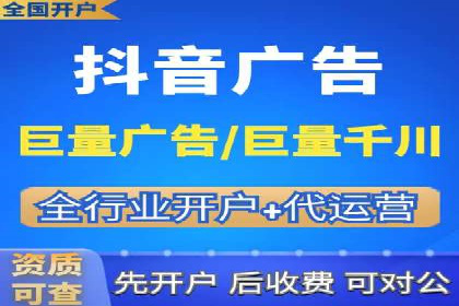 SEO与百度推广结合的营销策略——经典案例解析